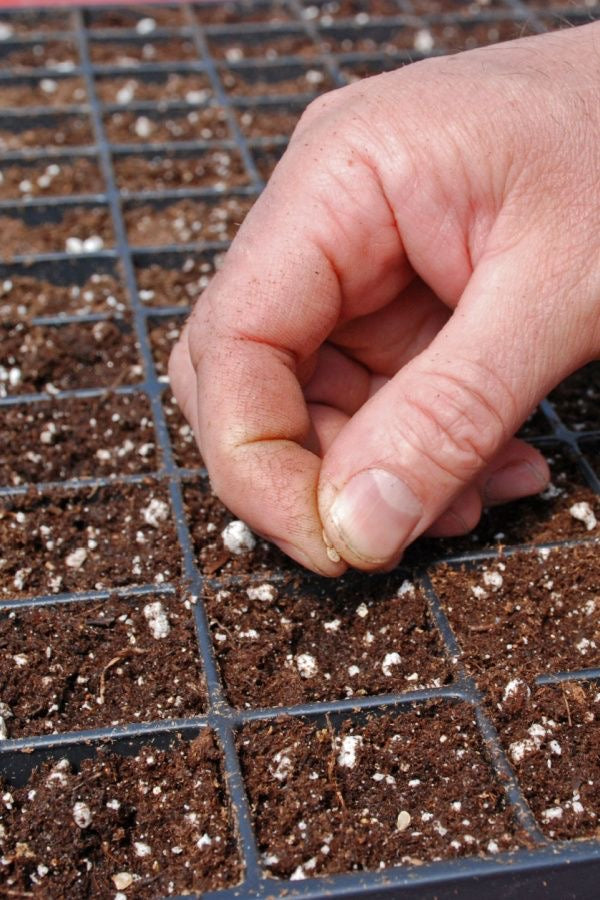 Sustrato de Propagación | Mezcla Estéril para Esquejes y Germinación – Peat Moss, Perlita y Vermiculita