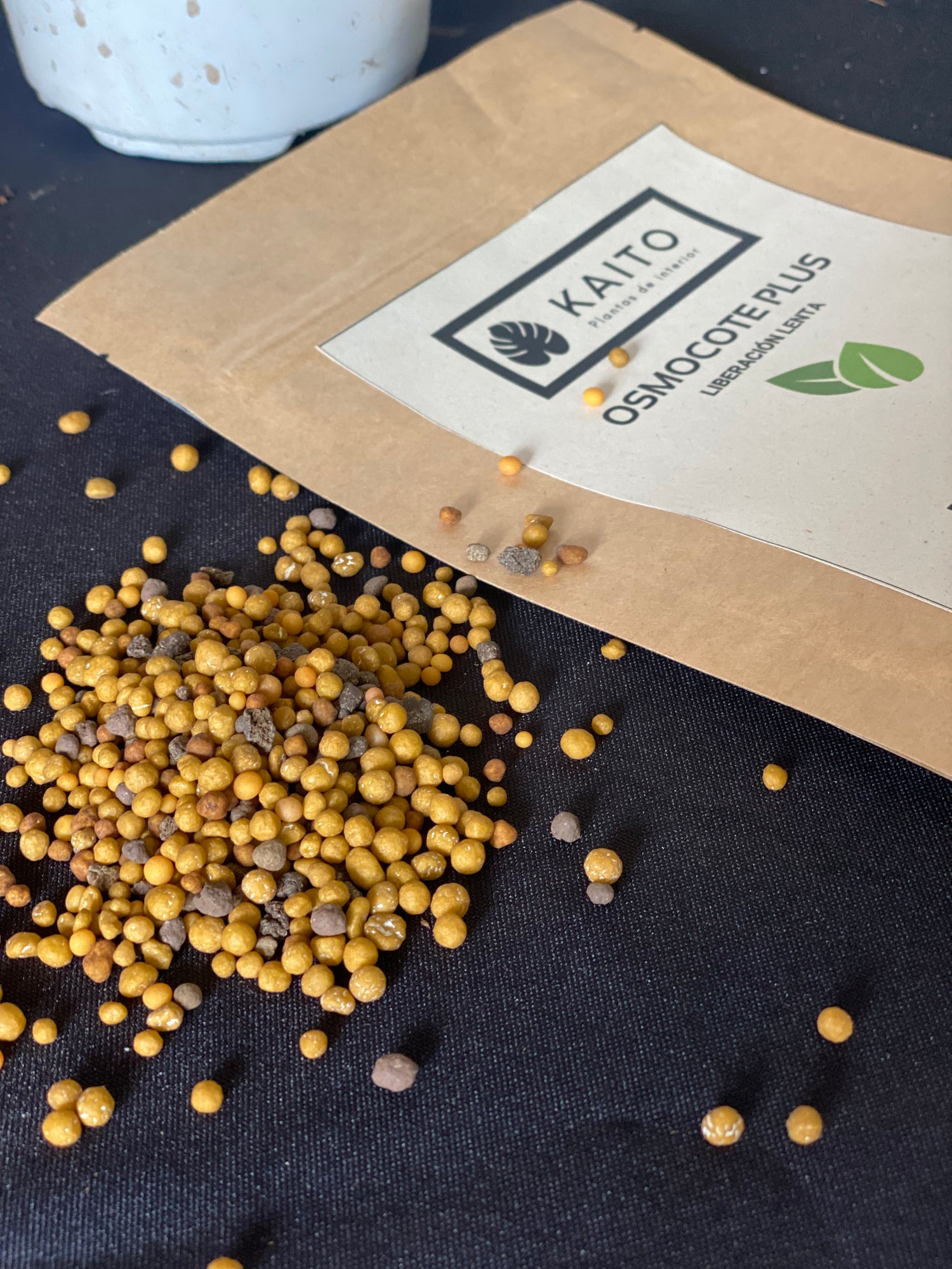Fertilizantes para Plantas de Interior