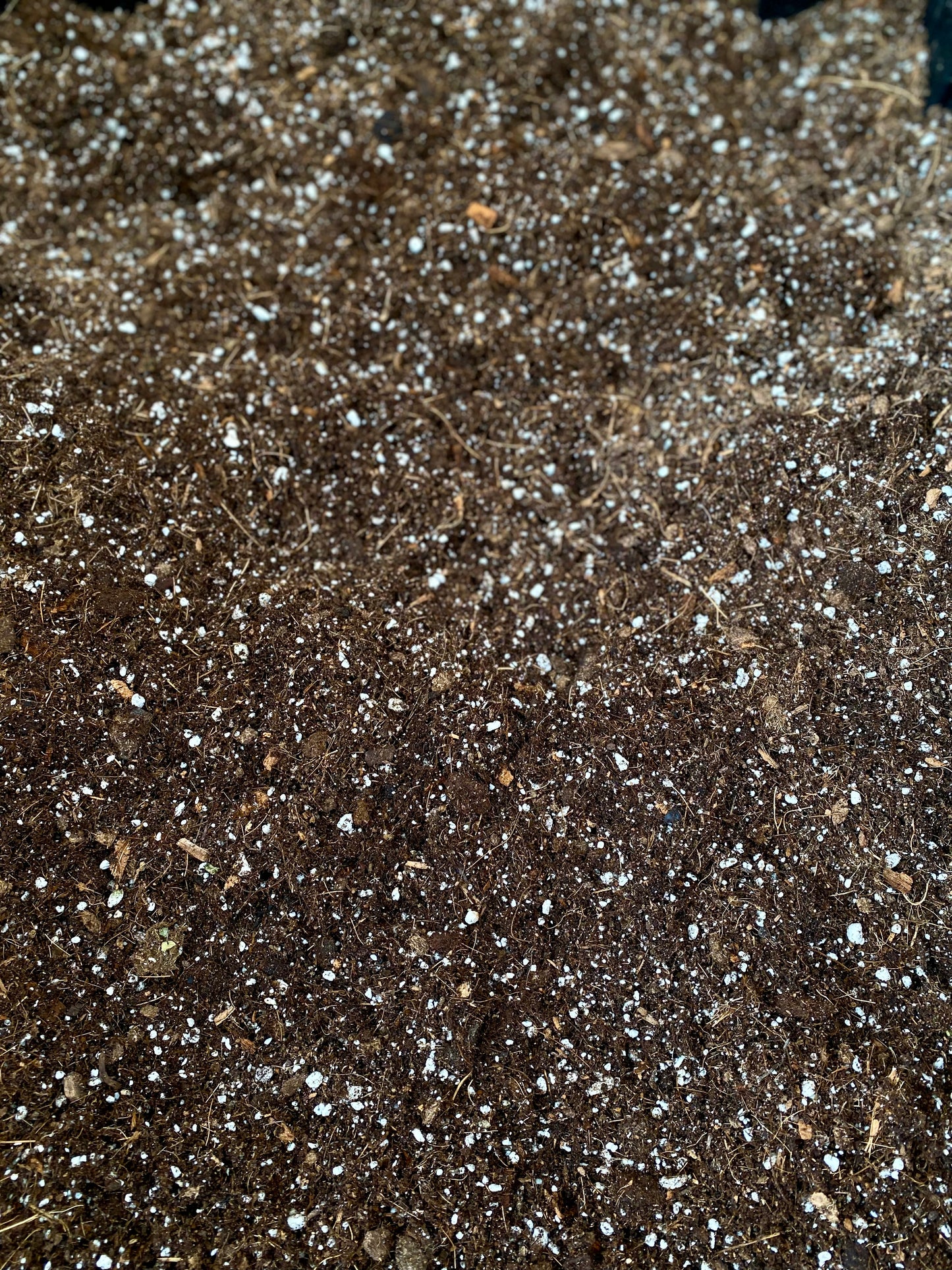 Sustrato Mix Tropical - Sustrato para plantas de interior