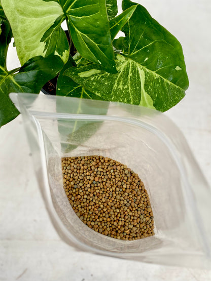 Fertilizante Osmocote Plus | Liberación Lenta por 6 Meses – NPK Controlado para Plantas de Interior y Exterior