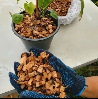 Chips de Coco | Hojuelas de Coco para Sustratos Aireados y Sostenibles