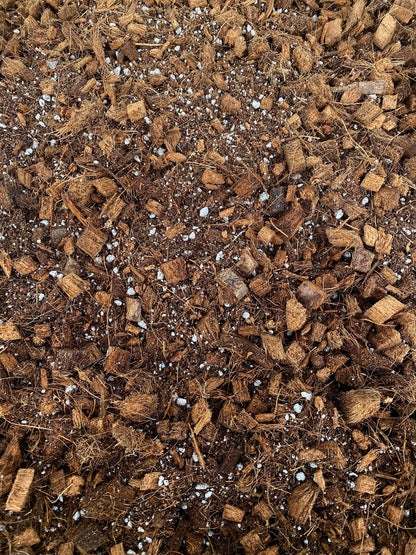 Sustrato Aroid Mix | Ideal para Filodendros, Alocasias y Anturios – Mezcla Premium Aireada y Nutritiva