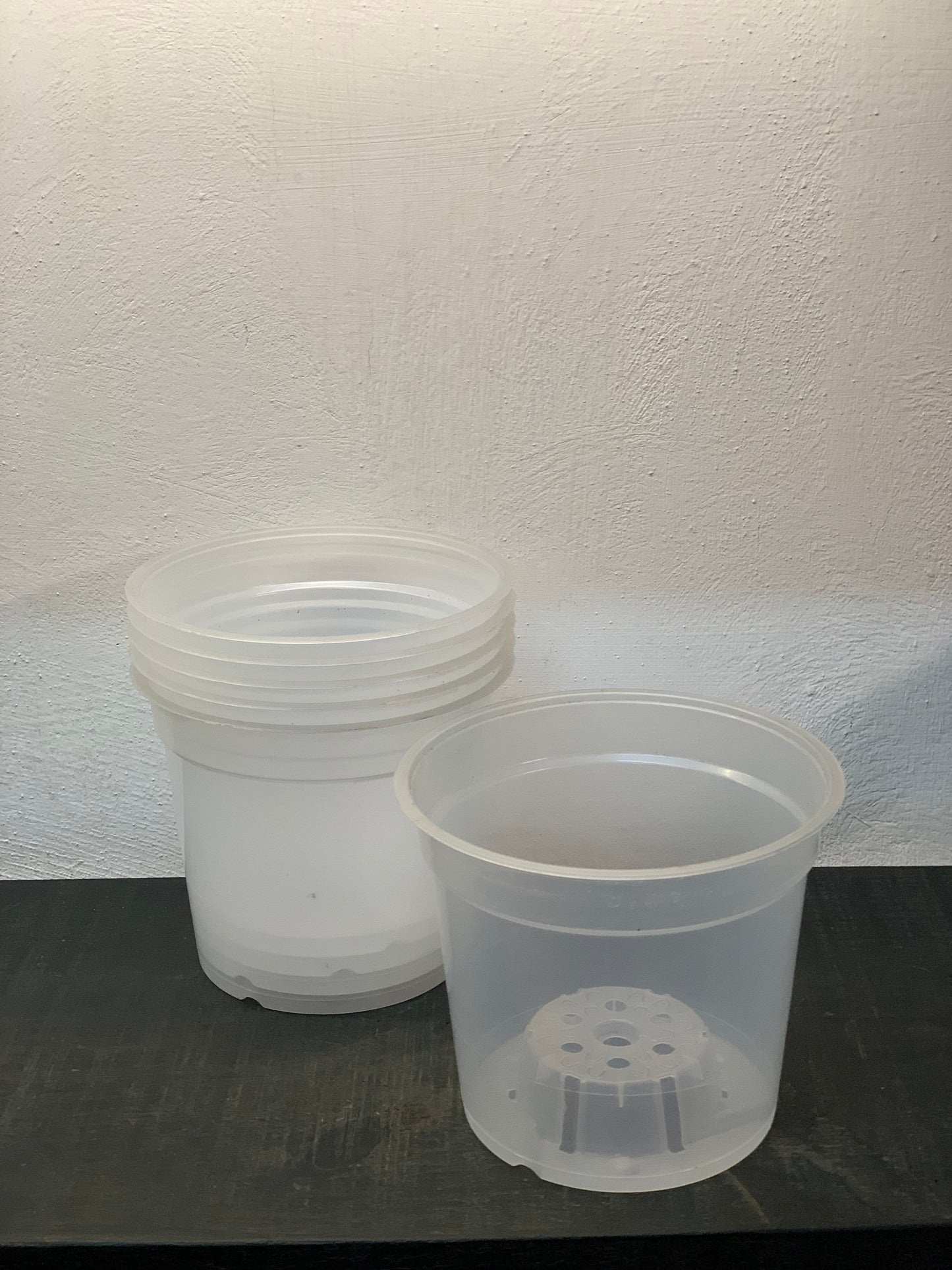 6 pack Maceta Transparente 6” (6 piezas)