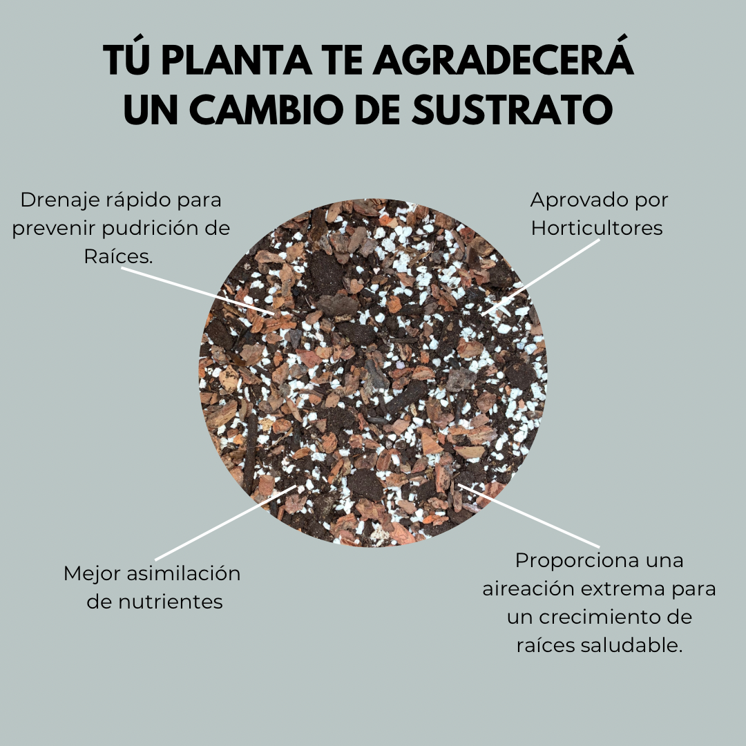 Sustrato Pro Mix - Sustrato para plantas de interiores